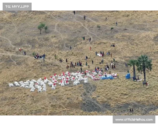北京国安防线危机加剧 恩加德乌伤缺本土三后卫临时挑大梁 北京国安防线危机加剧 恩加德乌伤缺本土三后卫临时挑大梁